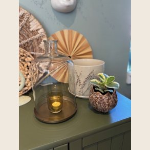 Elaya Urtepotteskjuler