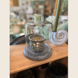 Glasklokke med trsokkel