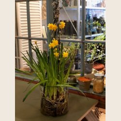 Glasvase, plain, 18x18 cm