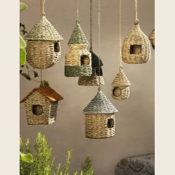 Fuglehus i flet, natur