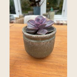 Half urtepotteskjuler