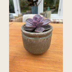 Half urtepotteskjuler