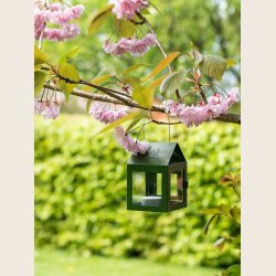 Hngelanterne, udendrs