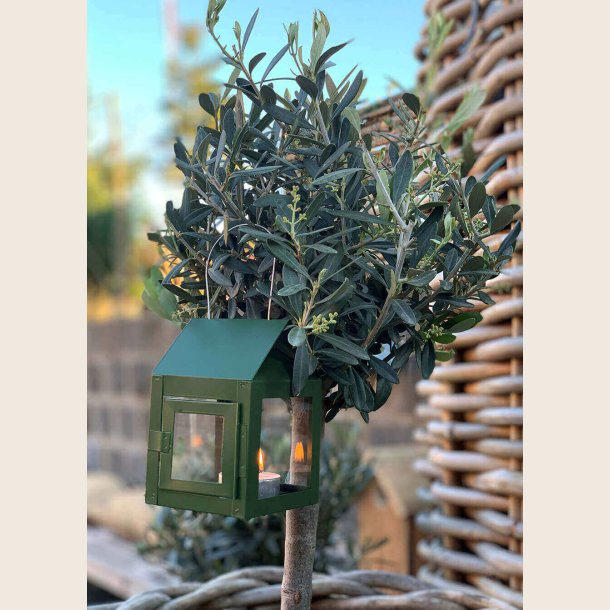 Hngelanterne, udendrs