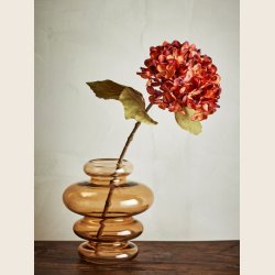 Hortensia-stilk, br�ndt orange