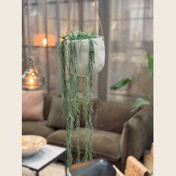 Ileana hngepotte i hvid