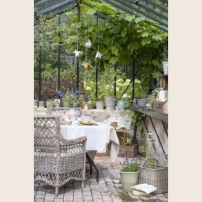 Rattan stol med hynde