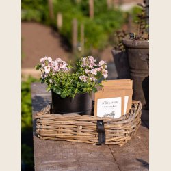 Kubu rattan kurvest, rekt. 