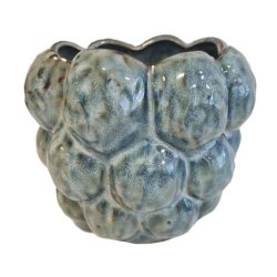 Bobles urtepotteskjuler, bl