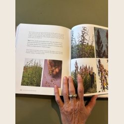 Magiske blomsterfr�, bog