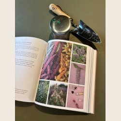 Magiske blomsterfr�, bog