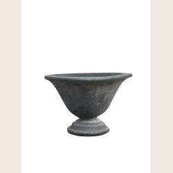 Magnolia opsats, sort