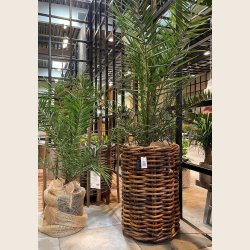 Maxi rattan kurv, rund