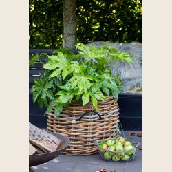 Maxi low rattan kurv, rund