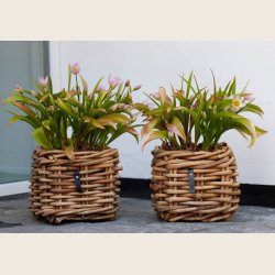 Mini firkantet rattankurv, low