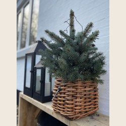 Mini firkantet rattankurv, low