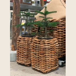 Mini firkantet rattankurv