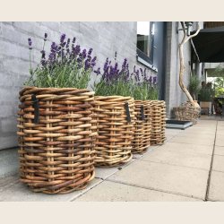 Mini rund rattankurv