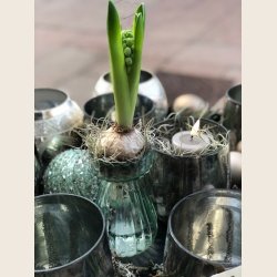 Milagro fyrfadsstage, slv