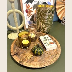 Noreen trbakke i mangotr