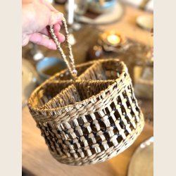 Organizer i s�gr�s