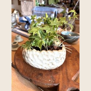 Rustik brun urtepotteskjuler