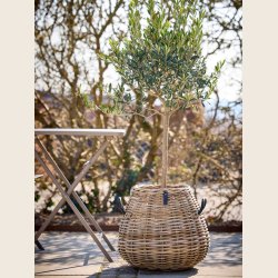 Pre Kubu rattan kurve