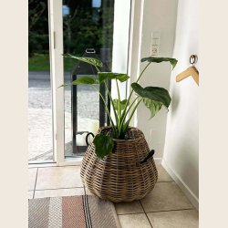 Pre Kubu rattan kurve