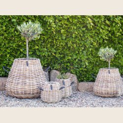 Pre Kubu rattan kurve