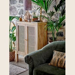 Paolo skab i mangotr�