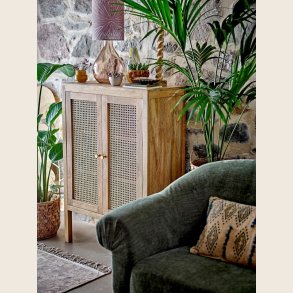 Paolo skab i mangotr�