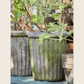 Pernille krukke, 2 str. 