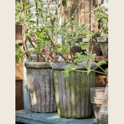 Pernille krukke, 2 str. 