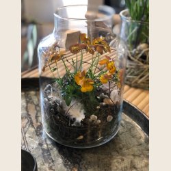 Glasvase, Pharma, 25x18 cm