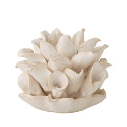 Phyllis lysestage i stentj