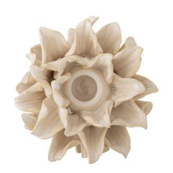 Phyllis lysestage i stentj