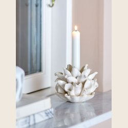 Phyllis lysestage i stentj