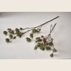 Fyrregren med kogler, 90 cm