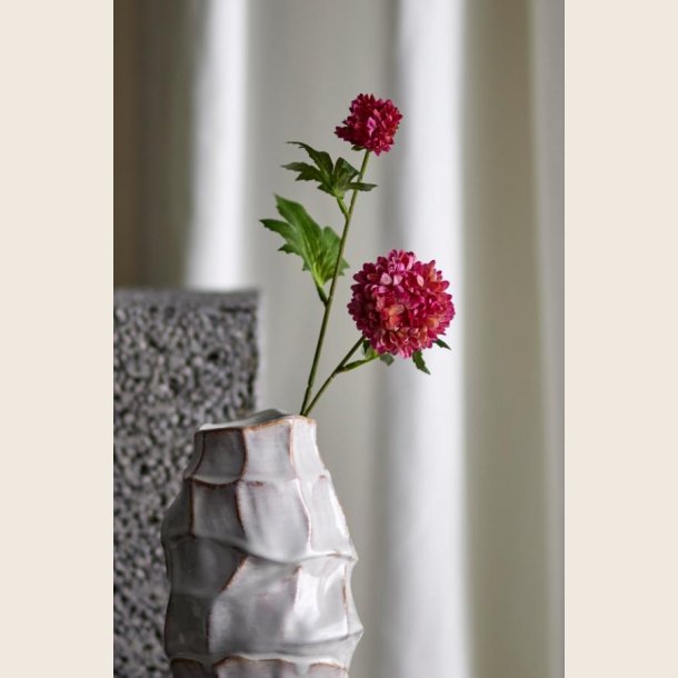 Chrysantemum-stilk, pink