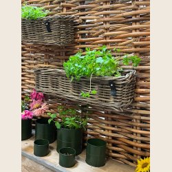 Kubu rattan fletbakke, aflang 