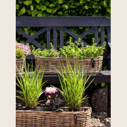 Kubu rattan fletbakke, aflang 