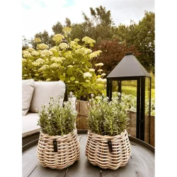 Kubu rattan urtepotte i flet