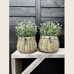 Kubu rattan urtepotte i flet