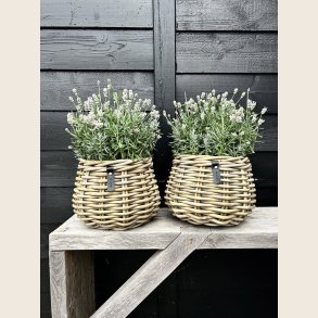 Kubu rattan urtepotte i flet