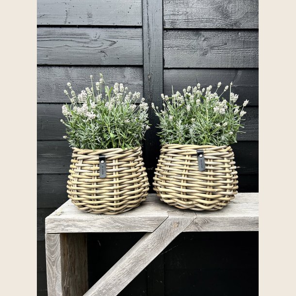 Kubu rattan urtepotte i flet