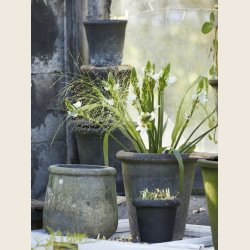 Rose krukke, sortpatineret