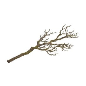 Rustik gren, 80 cm