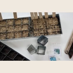 Bakker med seed pots 30 (W.E.T.)