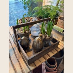 Aluminium �g, s�t � 2 stk.