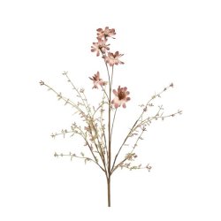 Evighedsblomst stilk, rosa/grn